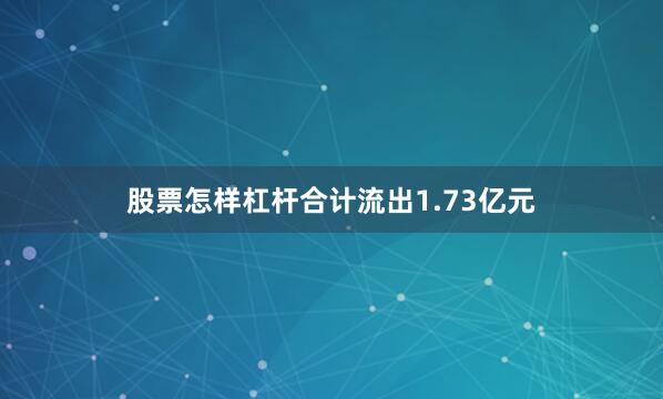 股票怎样杠杆合计流出1.73亿元