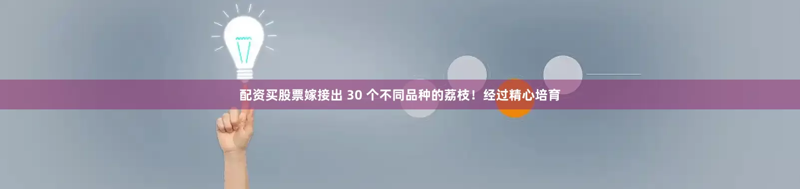 配资买股票嫁接出 30 个不同品种的荔枝！经过精心培育